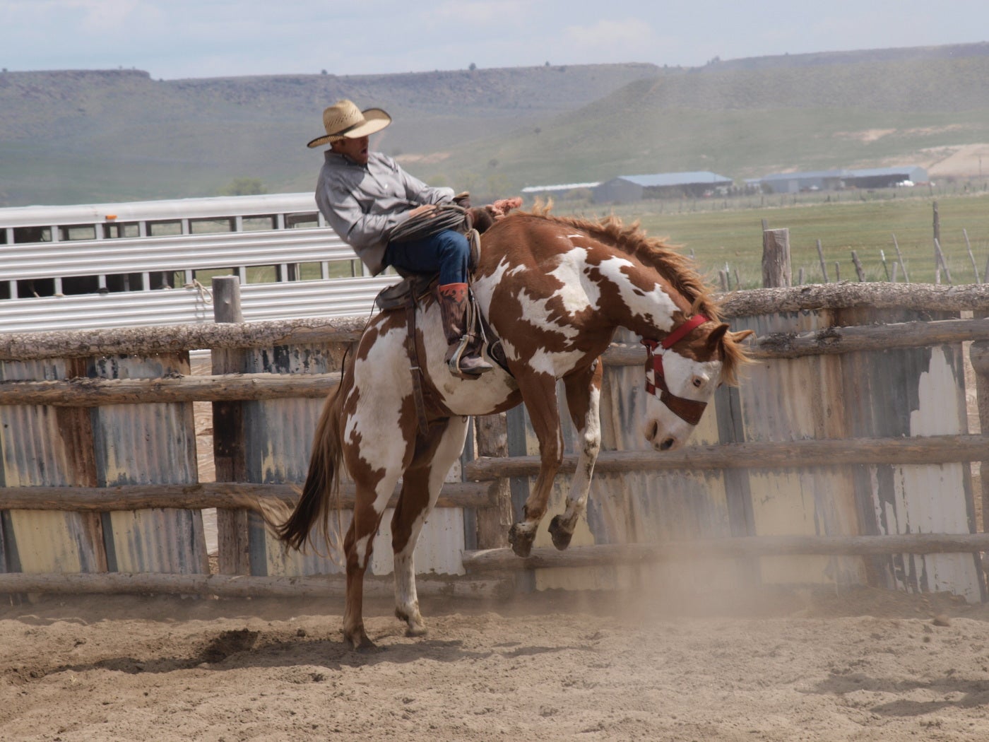 Ofn Buckaroo Traditions Of Oregon